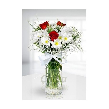 VAZODA PAPATYA VE GÜL